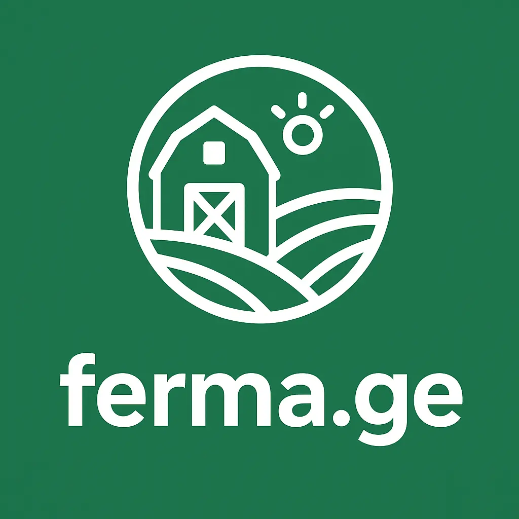 Dimas guest house in Telavi